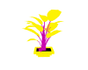 YELLOW PINK FLOWER PLANT