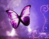 Butterfly Wall Panel