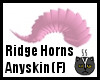 Anyskin Ridge Horns (F)