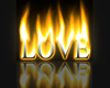 Flames Of Love