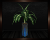 Aqua Noir Tall Plant