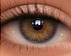 Celestial Brown Eyes
