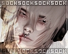 𝒔. addon 092