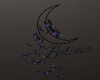 dragon fly "believe"