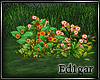 (ED1)Flowers-9