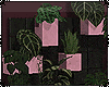 | Plant Wall Pink