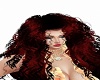 Sexy Curly Hairstyel