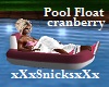 Pool Float Cranberry