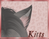 Kitts* Grey Ears v1