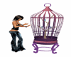 Dreams bird cage anim