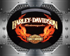 Harley Hangar Collection