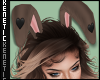 K. Bunny Ears Cocoa