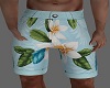 Hello Summer shorts cpl