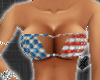 *-*Sexy Sparkle USA Flag