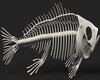 Skeleton fish
