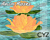 !CYZ Animated Roses 