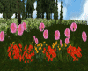 Garden Flowers