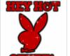 Playboy Hot Stuff