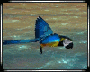 24 Tropical Flying Parro