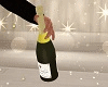 Celebration Party M / F