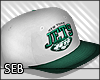 S' NY Jets Snapback