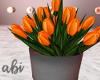 Orange Tulips*Abi*