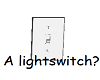 A Lightswitch?