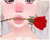 $K Valentine Rose