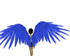blue wings