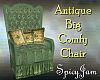 Antq Big Comfy Chair Grn