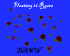 16 Floating Roses 