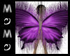 Purple Bfly Wings