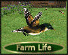 [my]Bundle Farm Life