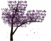 Purple Anime Tree [MKZ]