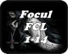 Focul