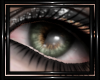 !T! Eyes | Dahlia G