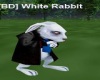 [BD] White Rabbit