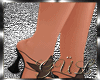 Stars Heels