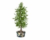 [00]LAR Deco plant 3