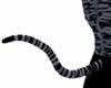 Animated Cat Tail Wht Tig