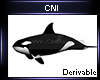 Derivable Whale