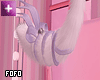 kitty anim. tail