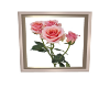 Geva Pink Rose -Photo 2