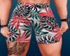 [Y] SexyBoy Shorts S02