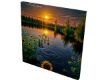 Serene wall pic-Dal