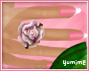 [Y] MyPinkRing ~ Rose