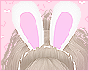 Bunny Ears Lilac