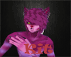 Cheshire Cat Fur V1 [M]