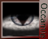 Conquest Black