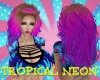 Tropical Neon Ombre